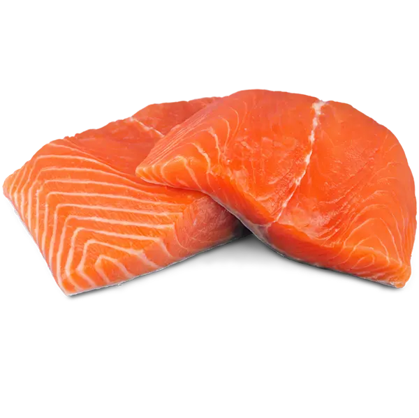 salmon filets