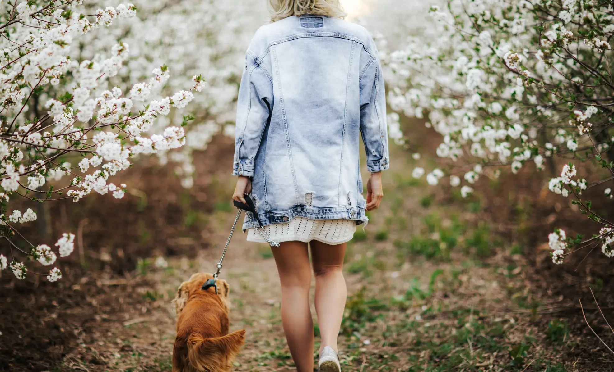 woman taking her dog for a walk